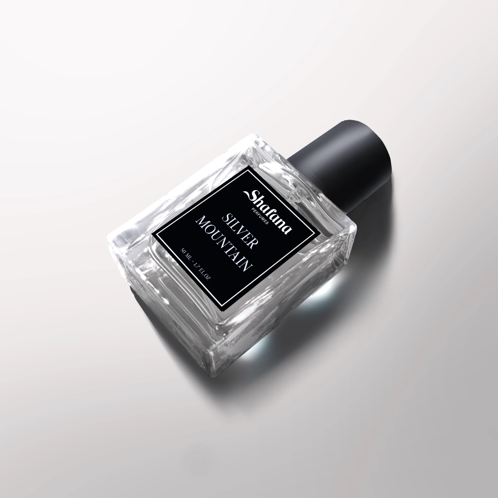 Silver Mountain Water - Image 2