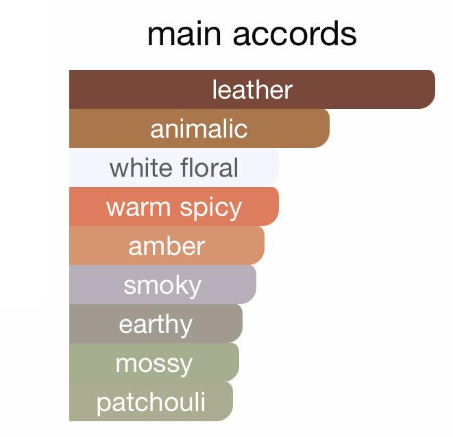 Ombré Leather - Image 4